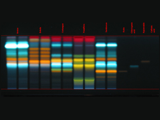 HPTLC: separace flavonoidů