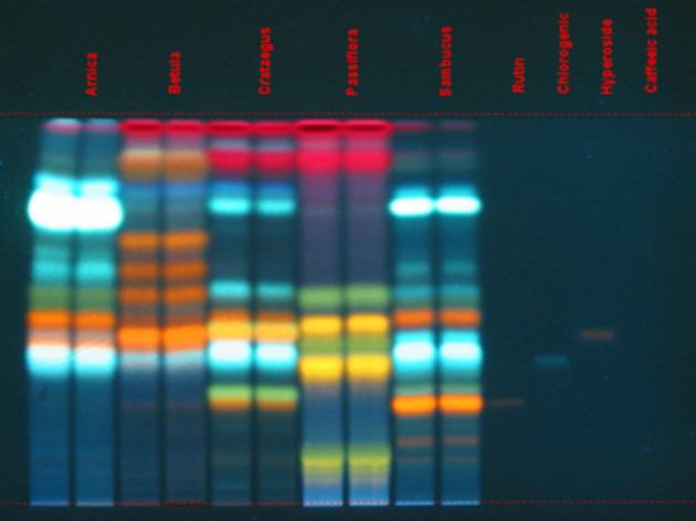 TLC: separace flavonoidů
